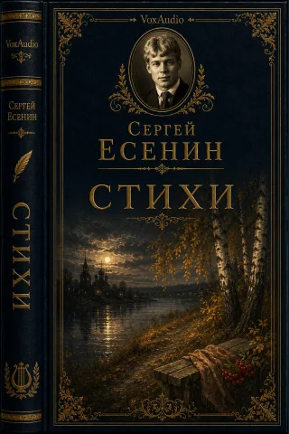 Стихи